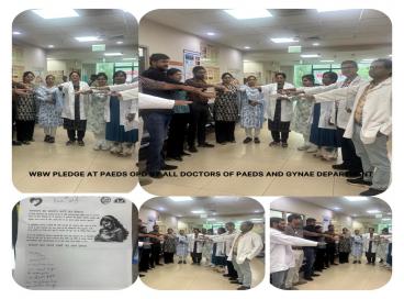 Healthy Baby show celebration done at BMH under WBW